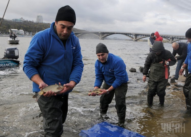 С набережной в Гидропарке выпустили 4 тонны рыбы различных пород в рамках зарыбления Днепра, в Киеве.