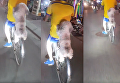 Собака, ехавшая на заднем колесе велосипеда, взорвала сеть. Видео
