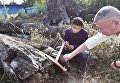 В Китае нашли редкий дорогостоящий кусок древесины