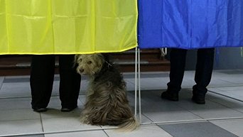 Выборы в Украине, октябрь 2017