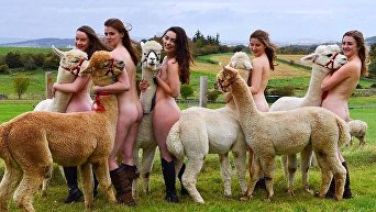 Студенты-ветеринары снялись голыми ради животных