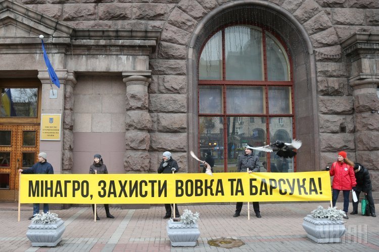 Участники акции протеста держат баннер с надписью Минагро, защиты волка и барсука! у здания Министерства аграрной политики и продовольствия Украины в Киеве