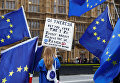 Anti-Brexit демонстранты проводят акцию протеста у здания парламента в Лондоне.
