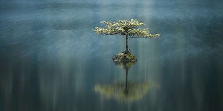 Третье место конкурса в категории Премия Каролин Митчум. Снимок канадского фотографа Адама Гиббса (Adam Gibbs) Ветерок на Озере фей.