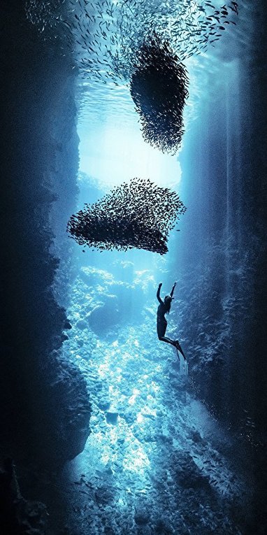 Снимок Свобода фотографа Риты Клюге (Rita Kluge) из Австралии, занявший второе место конкурса в номинации Премия Каролины Митчум. Фото сделано в подводной пещере у берегов Королевства Тонга.