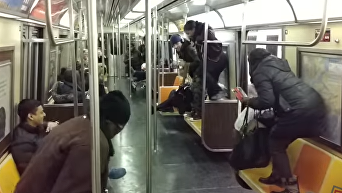 Крыса устроила переполох в метро Нью-Йорка. Видео