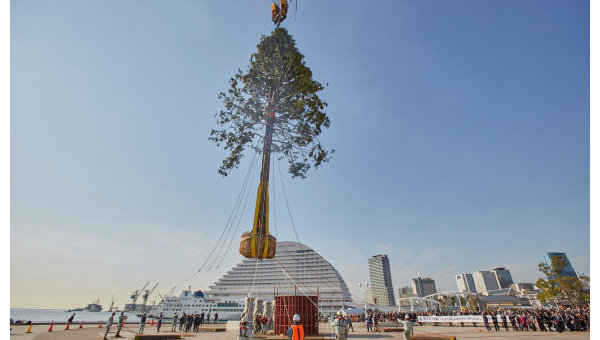 В японском Кобе установят елку номер один в мире