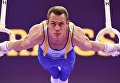 Украинский гимнаст Игорь Радивилов стал победителем этапа Кубка мира в немецком Котбусе