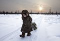 Фото девочки, помогающей своим родителям собирать дрова, было сделано на Ямале