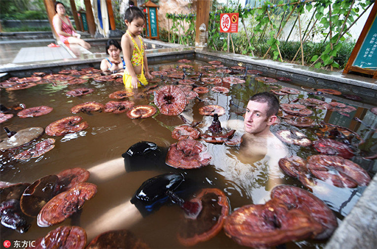 Турист принимает ванну с древесными грибами