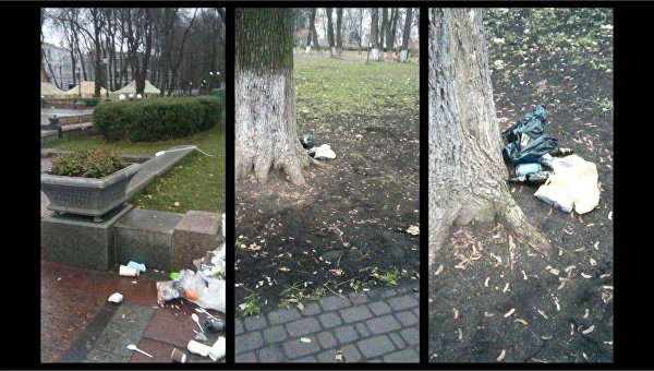 Свалки мусора в Мариинском парке