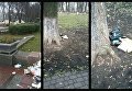 Свалки мусора в Мариинском парке