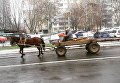 Мужчина едет на телеге в Киеве во время сильного гололеда