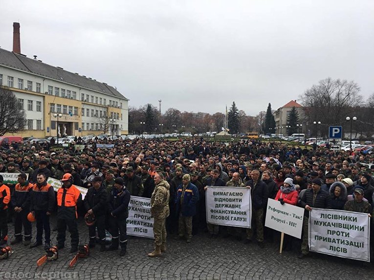 Масштабный митинг лесоводов перед Закарпатской ОГА