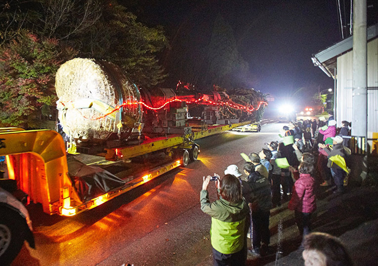 В Японии установили самую высокую в мире живую рождественскую ель