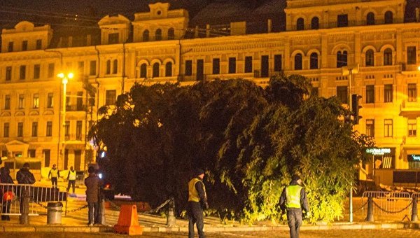 Главная елка Украины доставлена на Софийскую площадь в Киеве