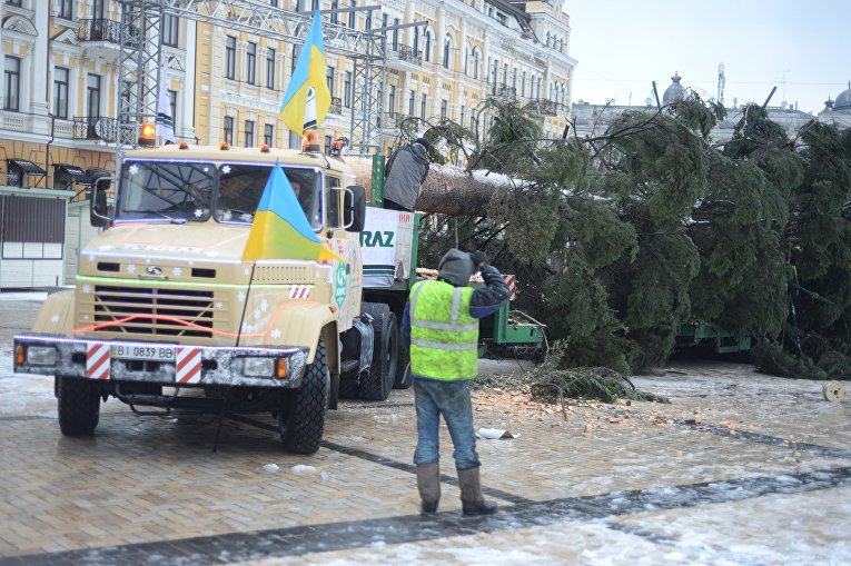 В Киеве устанавливают главную елку страны