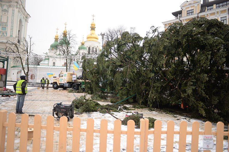 В Киеве устанавливают главную елку страны