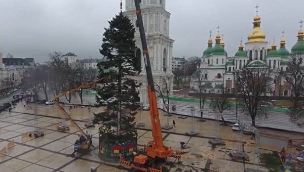 В Киеве установлена главная новогодняя елка