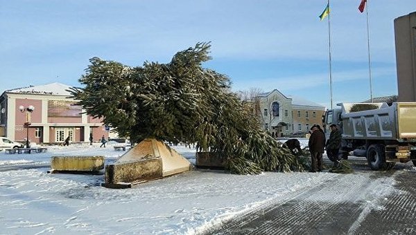 В Золотоноше упала новогодняя елка