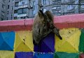 Труп оленя полдня висел на заборе возле детской площадки в Запорожье
