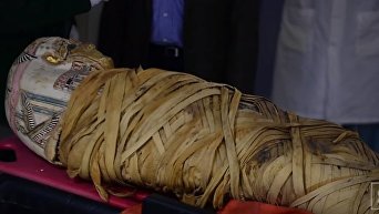Врачи обнаружили у египетской мумии рак через 2000 лет после смерти