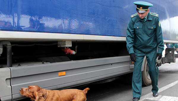 Инспектор-кинолог совместно с собакой проводят осмотр груза на таможенном посту в Республике Крым