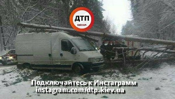 Дерево упало на микроавтобус на трассе под Киевом