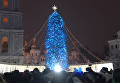 В Киеве зажгли главную елку страны. Видео