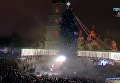 В Киеве зажгли елку