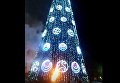 Житель Калининграда поджег главную городскую елку