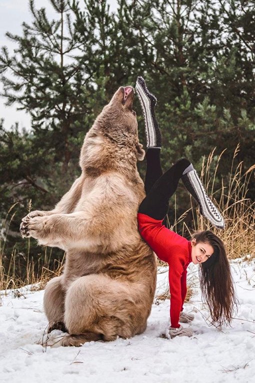 Австрийская гимнастка устроила фотосессию с живым медведем