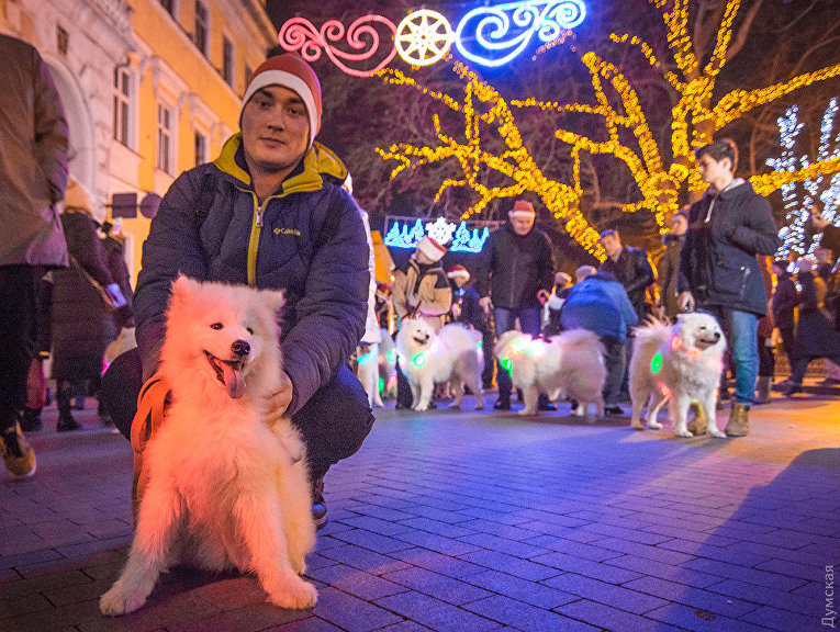 В Одессе прошел новогодний парад собак