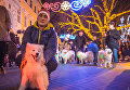 В Одессе прошел новогодний парад собак
