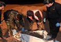 В Сирии найдены два крупных захоронения жертв ИГ