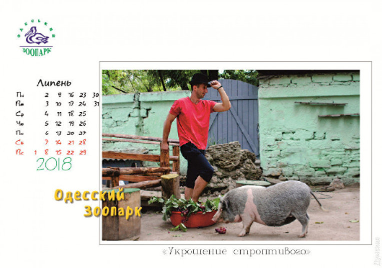 Одесский зоопарк выпустил странный календарь на 2018 год