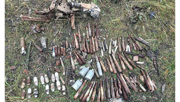 Полиция обнаружила тайник с боеприпасами в Донецкой области