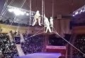 Воздушная гимнастка Юлия Тикаева из московской труппы сорвалась с высоты во время исполнения номера в цирке в Гомеле