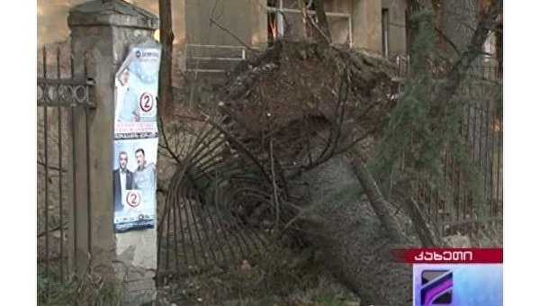 Сильный ветер нанес ущерб столице и регионам Грузии