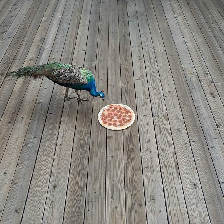 Пицца в необычной обстановке в работах фотографа Джонпола Дугласа