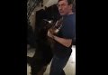 Юрий Луценко танцует с собакой. Видео