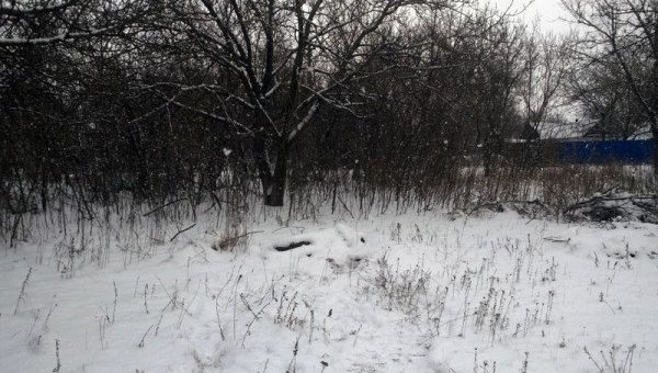 Труп мужчины нашли в Донецкой области