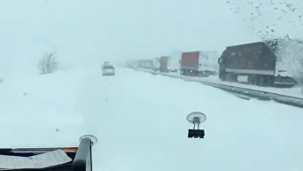Снега по пояс, бензин заканчивается. Очевидец о пробках на трассе Одесса-Киев. Видео