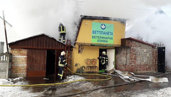 В Деснянском районе Киева сгорела ветеринарная клиника