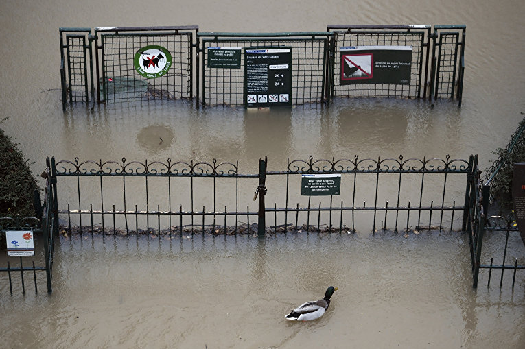 Наводнение во Франции, Сена и Рейн вышли из берегов