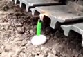 Экскаваторщик чиркнул зажигалкой, стоящей на яйце