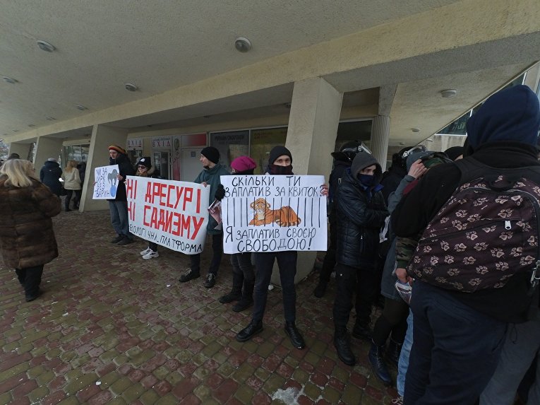 Митинг и столкновения возле львовского цирка
