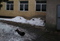 На месте взрыва в школе Одессы