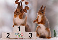 Олимпиада среди белок в объективе фотографа Герта Вегена