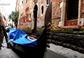 В Венеции высохла вода в малых каналах